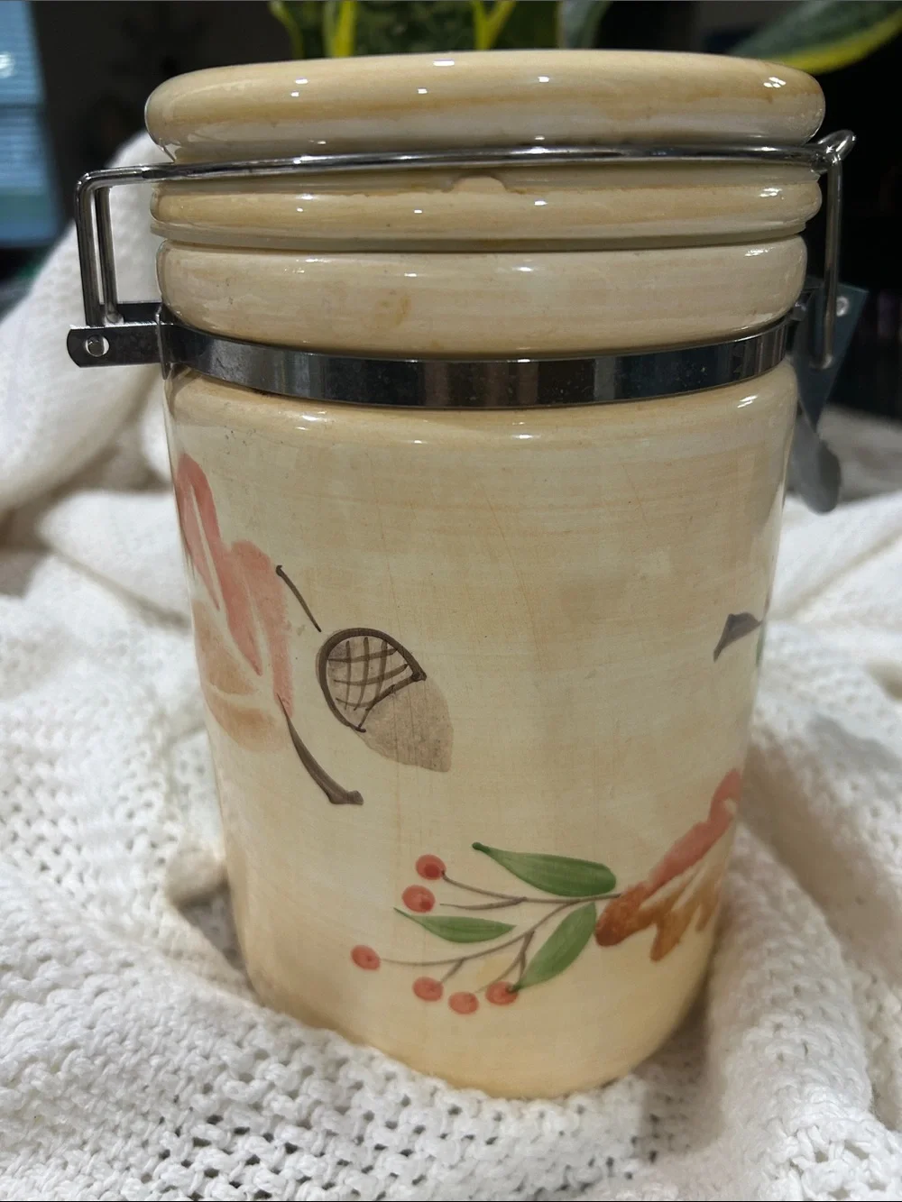 Homegoods Ceramic Airtight Storage Canister Grandmas Kitchen Memories in Autumn